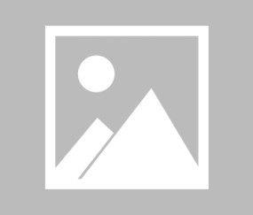 包含赛地聚焦——德国杯窗口期热度飙升；北京首钢复出首秀；质疑声仍在；团队化学反应显著的词条-九游体育APP